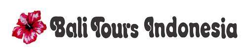 Tours & Travel Agent